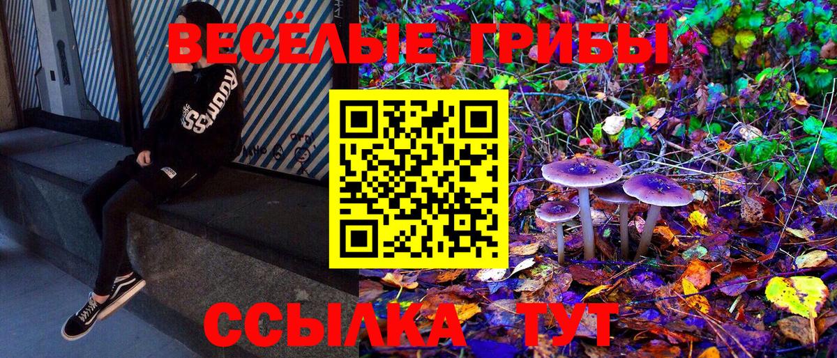 Галлюциногенные грибы Cubensis Можга